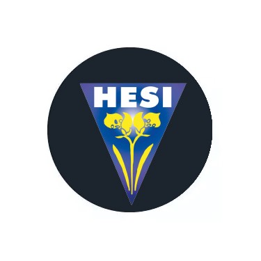 Ir a categoría de Hesi